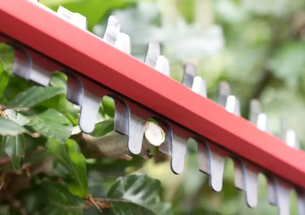 Кущоріз акумуляторний, SKIL 0430 CA 11073000101 (GH1E0430CA) 